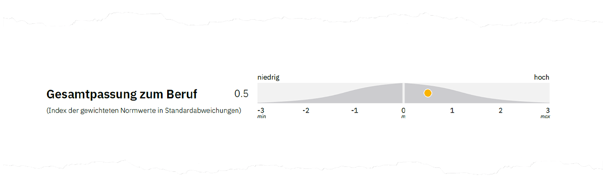 Abbildung 2. Gesamtpassung zum Beruf auf Seite 1 der Auswertung.