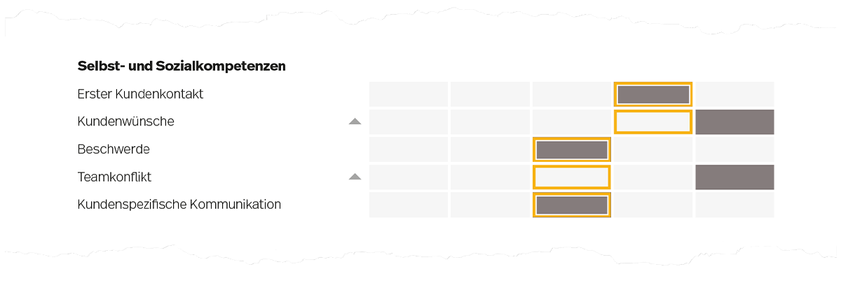Abbildung 4. Leistungslevels im Bereich Selbst- und Sozialkompetenzen (es sind beispielhaft die Anforderungslevels für den Beruf Fachmann/-frau Kundendialog EFZ dargestellt).