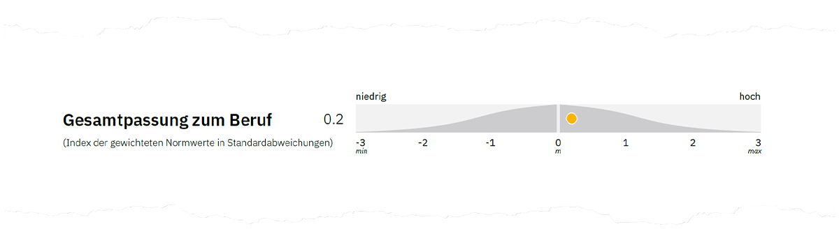 Abbildung 2. Gesamtpassung zum Beruf auf Seite 1 der Auswertung.