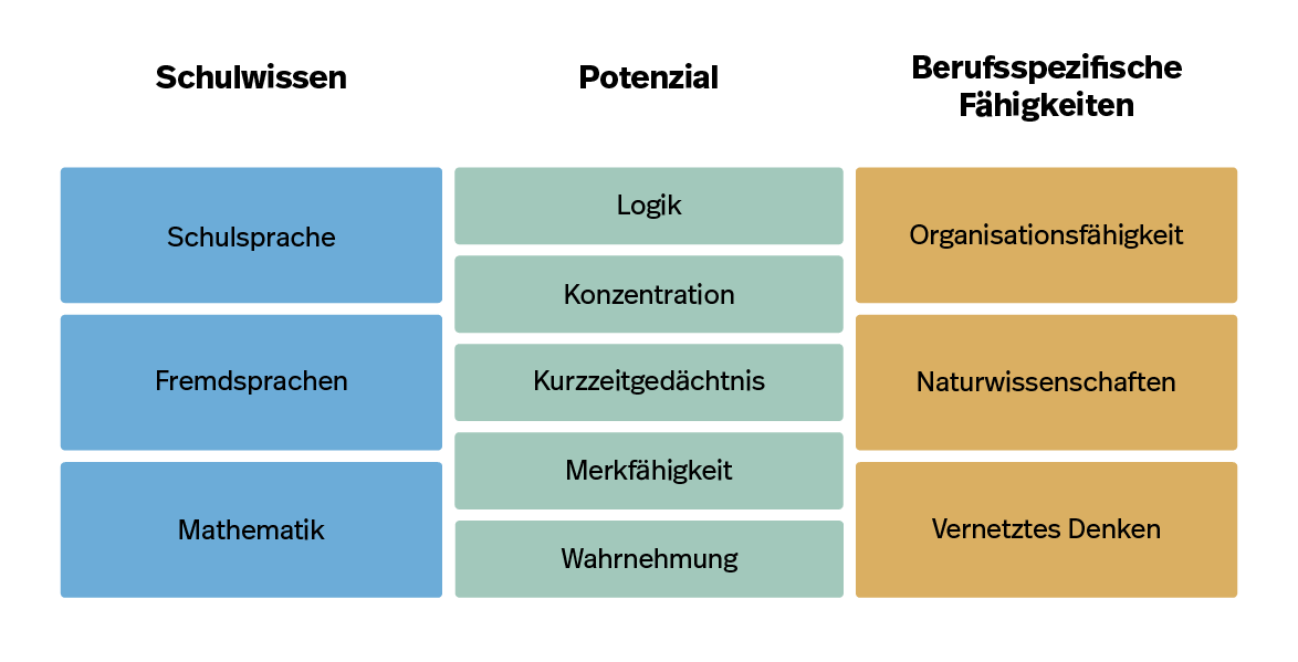 Übergeordnete Fähigkeitsbereiche