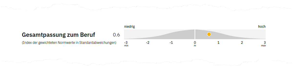 Abbildung 2. Gesamtpassung zum Beruf auf Seite 1 der Auswertung