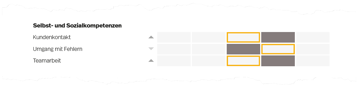 Abbildung 4. Leistungslevels im Bereich Selbst- und Sozialkompetenzen (es sind beispielhaft die Anforderungslevels für den Beruf Kaufmann/-frau EFZ dargestellt).